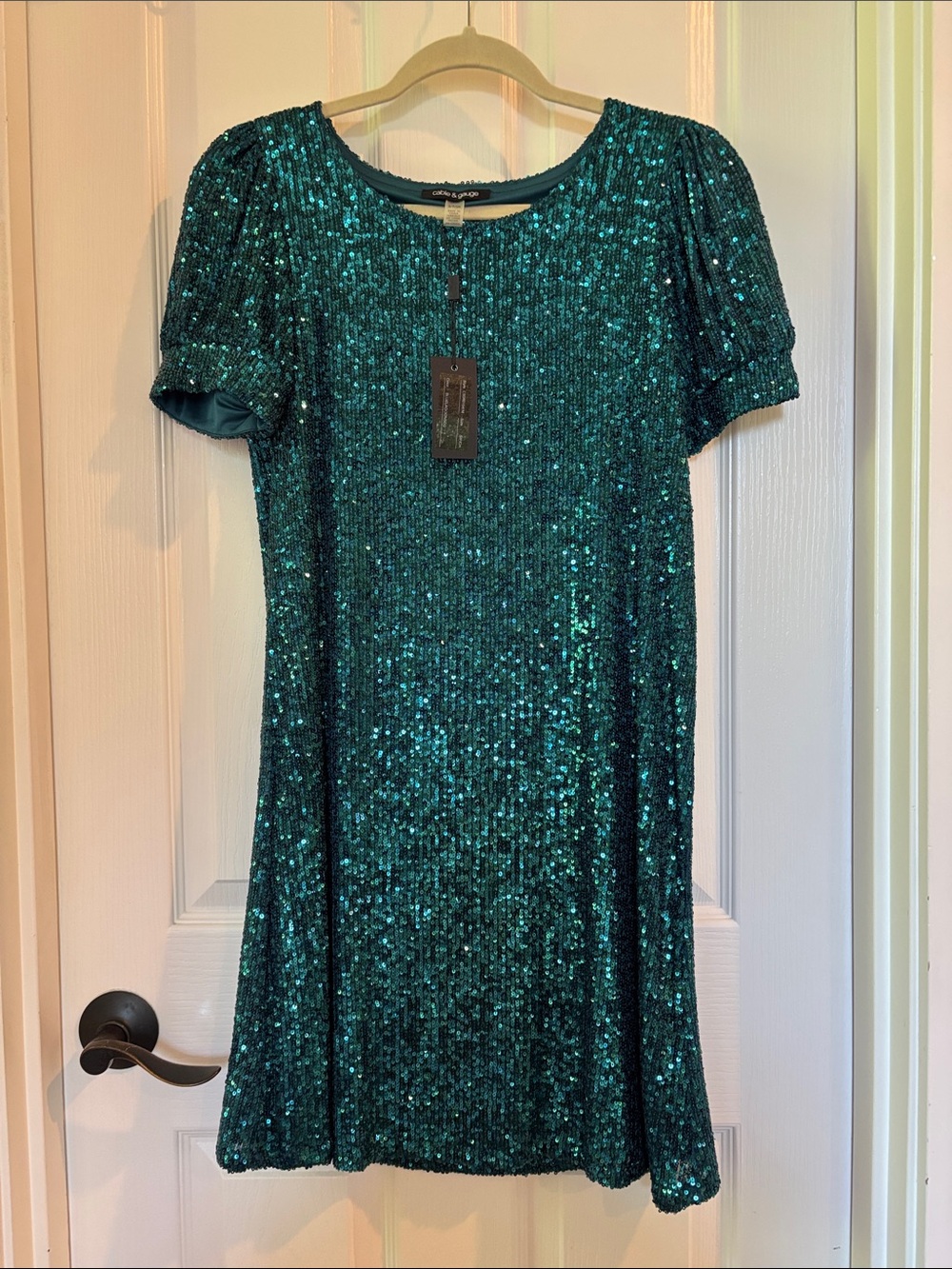 Cable & Gauge Teal Sequin Short Sleeve Shift Dress